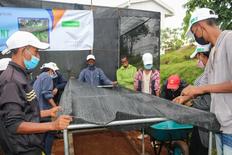 La Fondation OCP accompagne plus de 800 coopératives marocaines et africaines