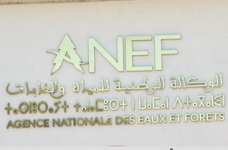 Forêts du Maroc 2020-2030