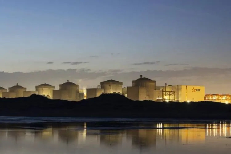 France_ des unités d'une centrale nucléaire à l'arrêt à cause de méduses