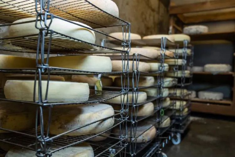 Fromages rappelés en France_ un _lien possible_ avec 21 cas de listériose dont 2 décès (ministère)