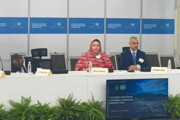 Le plan d'autonomie et le développement des provinces du Sud du royaume au centre d'une rencontre à Londres