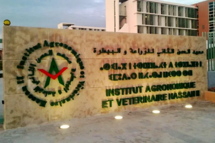 Le Conseil de gouvernement approuve un projet de décret fixant les durées des cycles de formation à l'IAV Hassan II