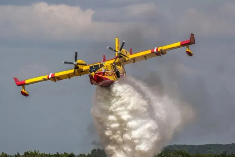 Incendie de forêt à Derdara (Chefchaouen): trois sur quatre principaux foyers maîtrisés, l'extinction du foyer restant en cours (ANEF)