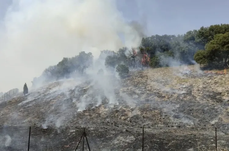 Tanger: Journée de sensibilisation aux risques des feux de forêts