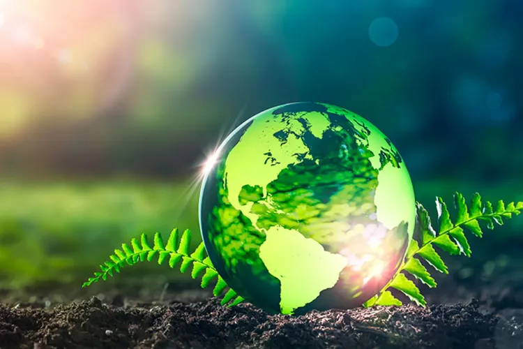 Journée internationale de la terre nourricière