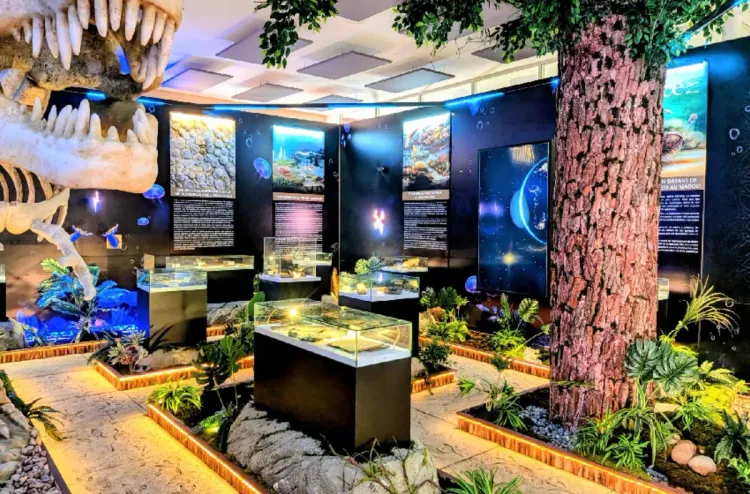 Marrakech : Inauguration de la 2e exposition internationale du patrimoine géologique "L’Afrique - Aux Origines de la Vie"