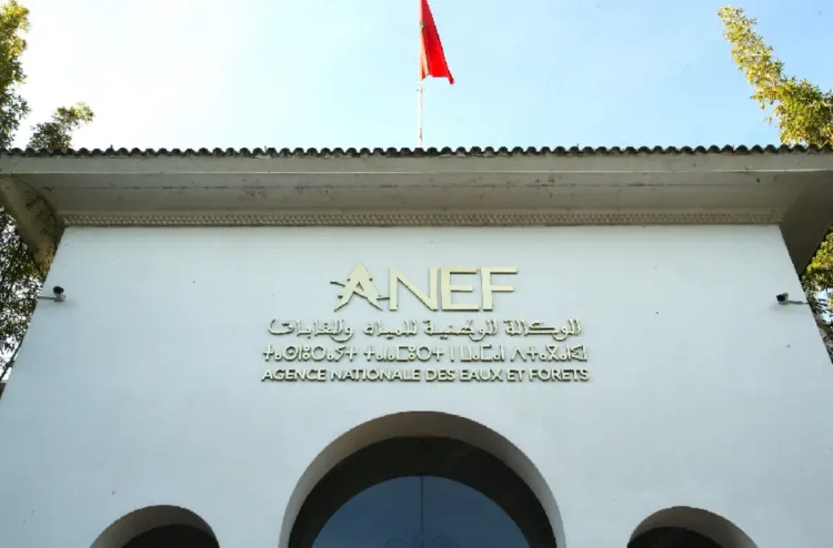 L’Agence Nationale des Eaux et Forêts