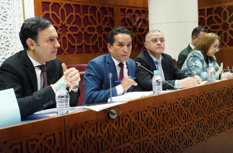 La Commission des secteurs sociaux