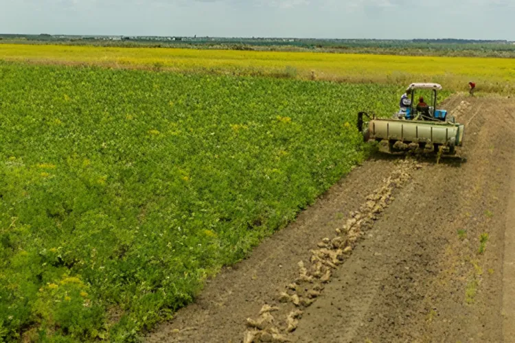 La FIMASUCRE obtient un appui financier supplémentaire au profit des agriculteurs de la filière sucrière