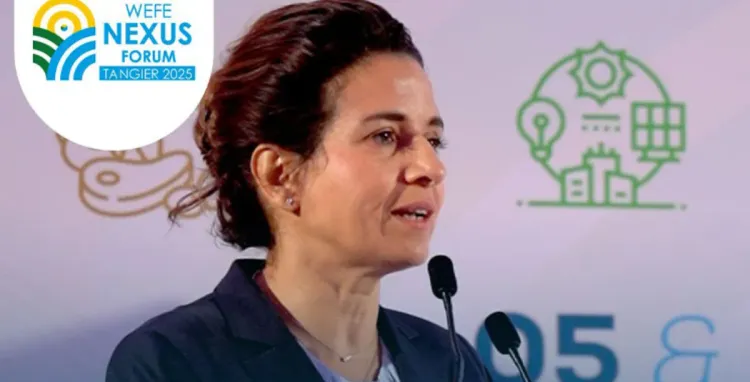 Le nexus eau, énergie et alimentation