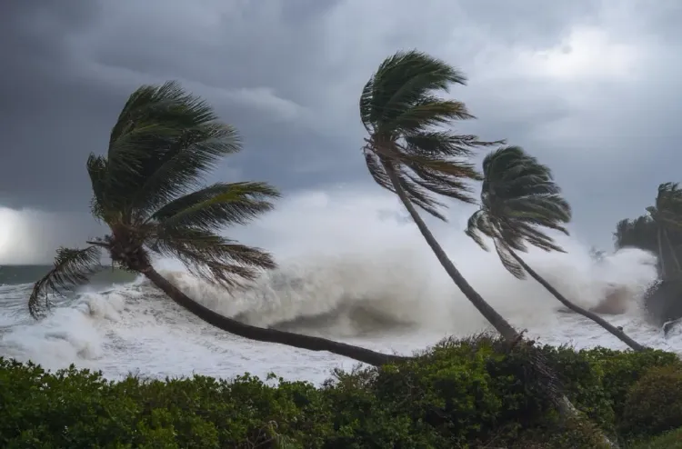Les Canaries suspendent les cours dans quatre îles en raison du passage d’une tempête
