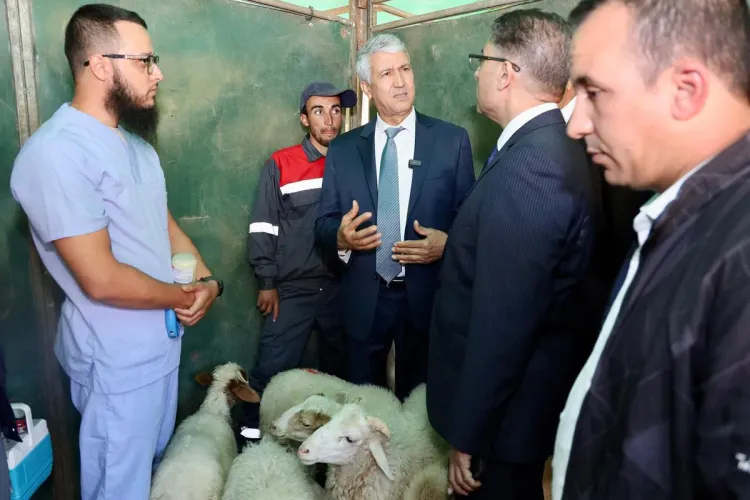 Al Haouz: Lancement du programme d'urgence de reconstruction, de réhabilitation et de mise à niveau agricole dans les zones touchées par le séisme