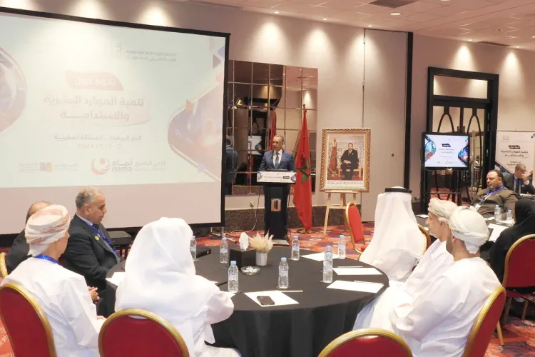 Office national de l'électricité et de l'eau potable Union arabe de l'électricité