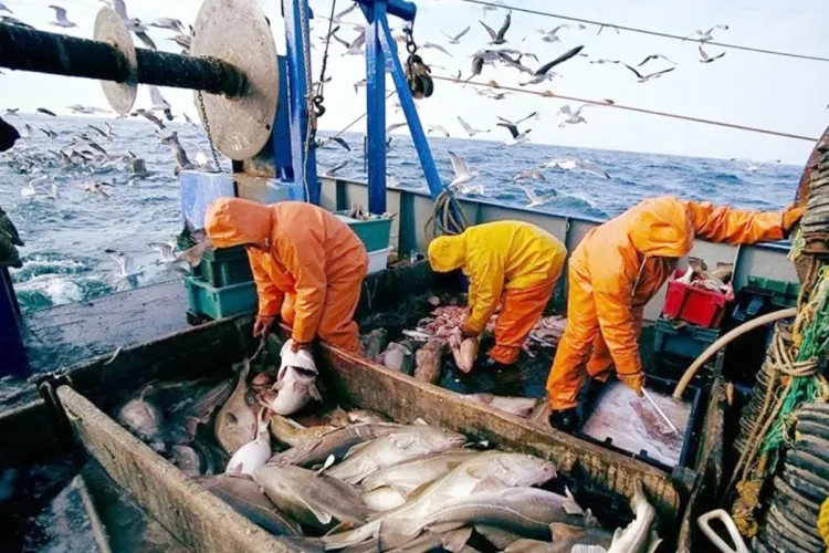 Les conditions météorologiques rendent difficile la navigation dans de nombreux ports du sud du Royaume