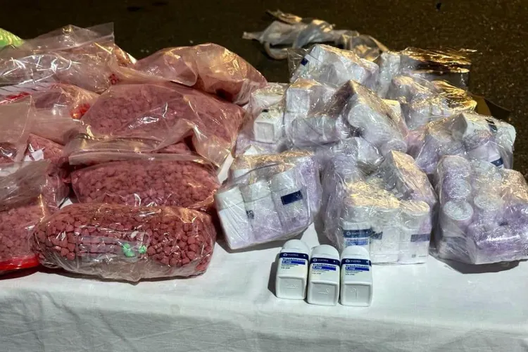 Port Tanger-Med: Avortement d'une tentative de trafic de plus de 173.000 comprimés psychotropes