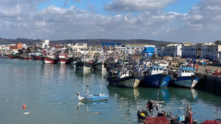 Port de Larache: Baisse de 6% des débarquements de pêche à fin juillet (ONP)