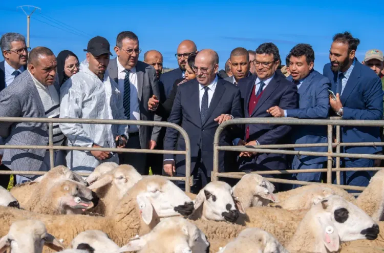 Province de Rehamna_ Lancement de projets d’agriculture solidaire et de renforcement de la résilience agricole