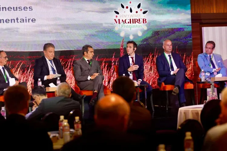 Rencontres Maghreb Oléagineux