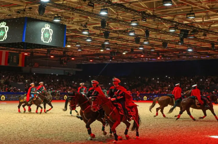 Salon du cheval d'El Jadida : La 14ème édition a attiré plus de 200.000 visiteurs