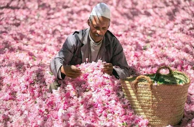 Salon international de la rose à parfum : Clôture de la 58ème Edition de Kelâat M'Gouna
