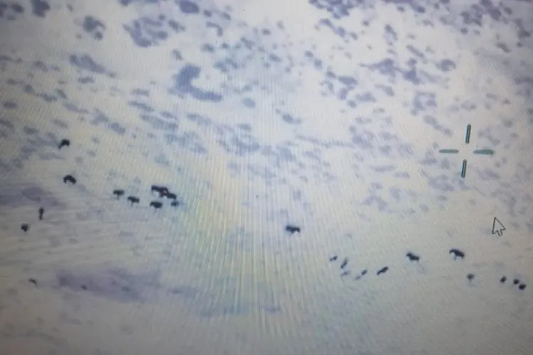 Séisme d’Al Haouz : Sauvetage de 5 bergers pris au piège dans une région montagneuse à l'aide d'un drone