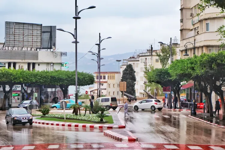 Région TTA: Les dernières précipitations ont un impact positif sur les cultures d'automne et d'hiver