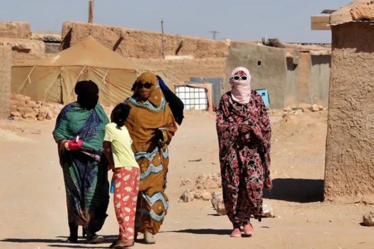 C24: les camps de Tindouf, une bombe à retardement qui menace la sécurité dans la région