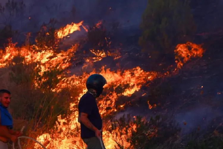 Turquie : Sept villages évacués à cause d’un incendie au nord-ouest