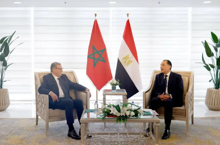 Comité de coordination et de suivi: M. Akhannouch s'entretient au Caire avec son homologue égyptien