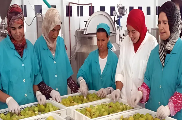 coopératives agricoles de femmes