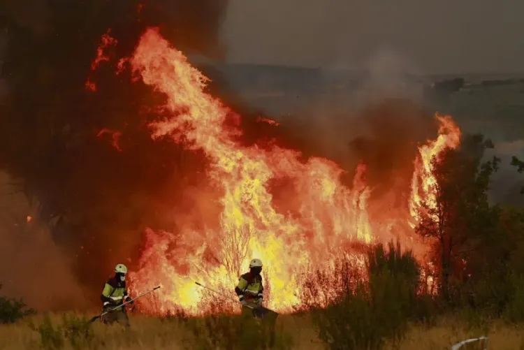 Espagne: 13.000 hectares brûlés dans un incendie de forêt à Guadalajara
