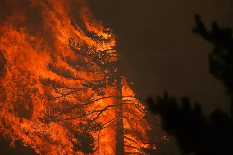Espagne : 32.000 hectares ravagés par un incendie à 100 km au nord de Madrid