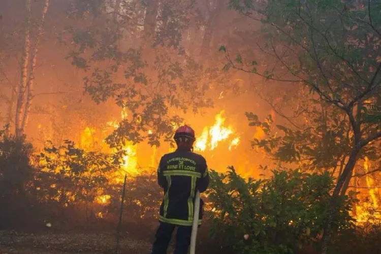 fin de la vague d’incendies