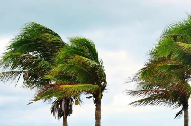 Fortes rafales de vent et tempête de sables ou de poussières, vendredi et samedi dans le sud du Royaume (bulletin d'alerte)