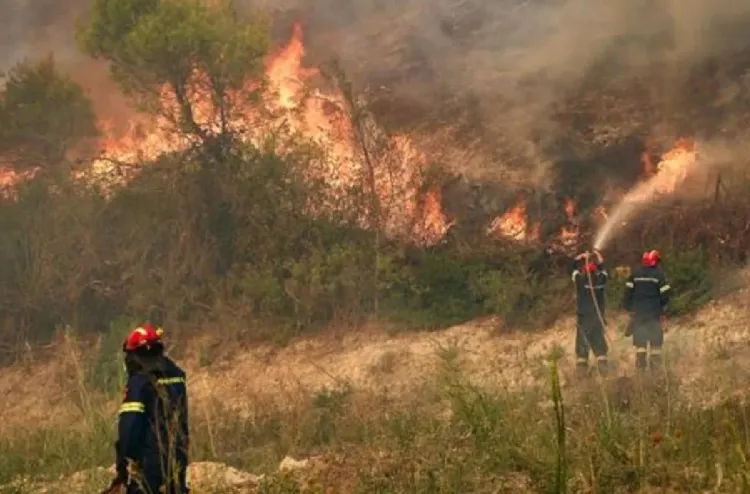 Incendies en Espagne : forte baisse des superficies brûlées au cours de la dernière semaine