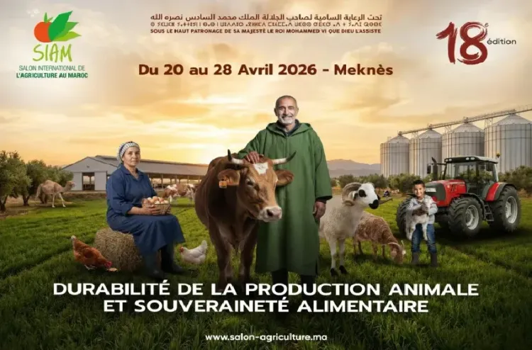 Le 18e SIAM du 20 au 28 avril à Meknès sous le signe de la durabilité de la production animale et de la souveraineté alimentaire