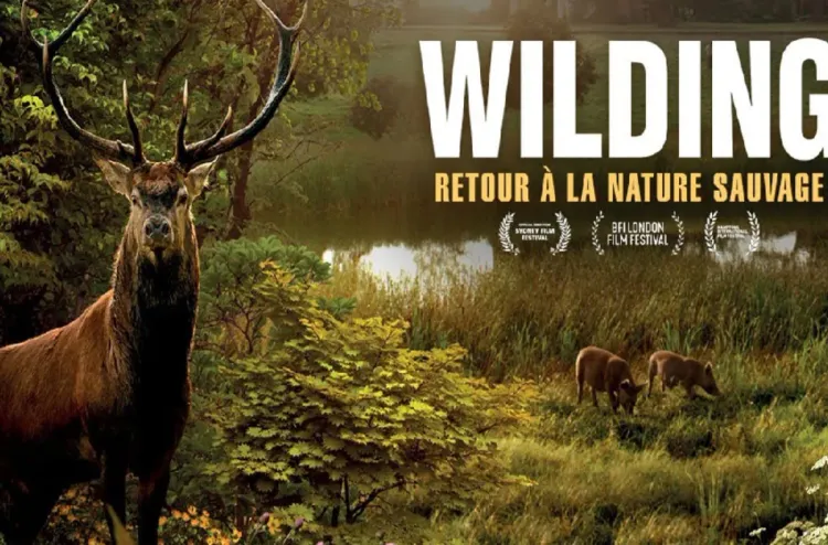 le film britannique Wilding