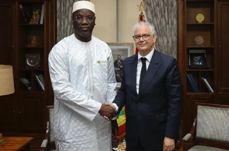 M. Baraka s’entretient avec le ministre malien de l’Énergie et de l’Eau