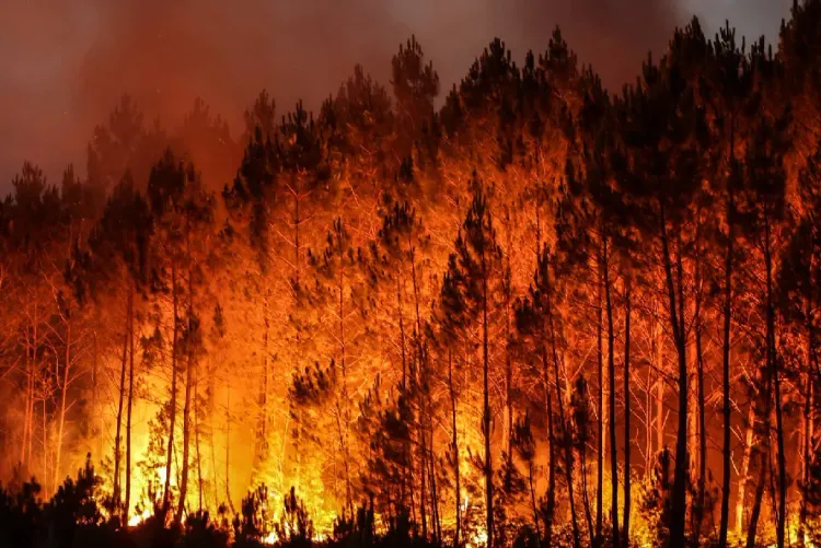 Canada : Plus de 300 millions de dollars pour renforcer la lutte aérienne contre les feux de forêt