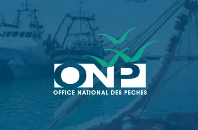 Ports situés sur la Méditerranée: Légère baisse des débarquements de pêche à fin mars (ONP)