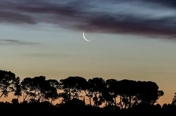 r Rabii II de l’an 1446