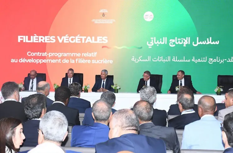 SIAM Maroc 2023: Remise des trophées de la qualité d'huile d’olive vierge